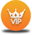 Shirdi tour VIP Darshan